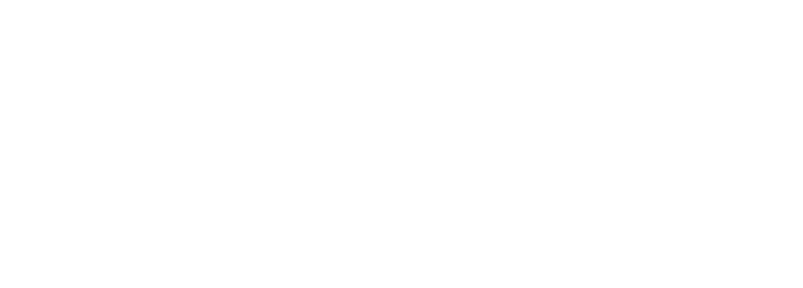 Stnet Logo